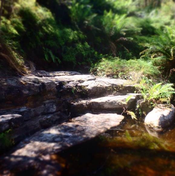 Kynnan Holmquest - Poshmark Profile Picture of Kynnan Holmquest (@kynnan30) on Poshmark