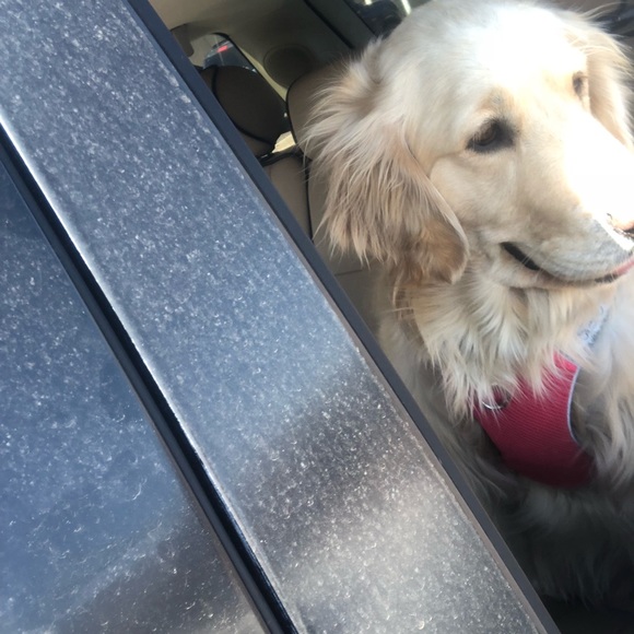 Profile Picture of Kim Akin (@kimakin1) on Poshmark