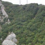 Dixie - Instagram Profile Picture of Dixie (@dixiegoodhurstgj) on Instagram