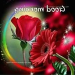 Profile Picture of Bhavna Kashyap (@bhavna.kashyap.184) on Instagram