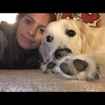 Profile Picture of Ralph, Ginger, Buehler (@ralphdog_gingercat_buehler) on Instagram