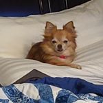 Profile Picture of Tammy Carmack-Geissler (@tammy.carmackgeissler) on Instagram