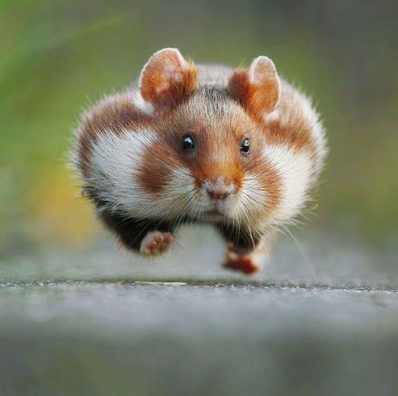 Kevin Plazak - Poshmark Profile Picture of Kevin Plazak (@kevinplazak) on Poshmark