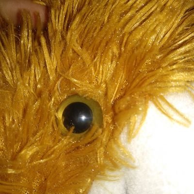 Profile Picture of Misel James (@james_misel) on Twitter