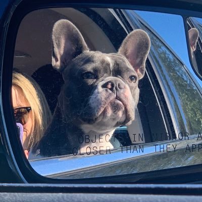 Profile Picture of John Gendron (@JohnnyG_MMA) on Twitter