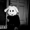 Profile Picture of MaxPurcell (@@maxpurcell) on Tiktok