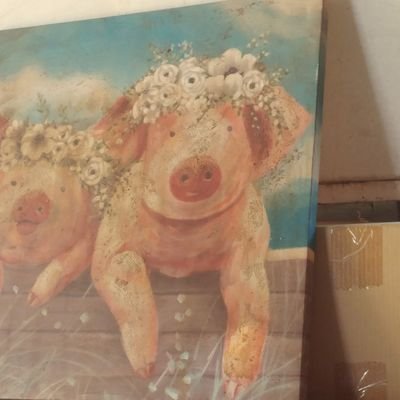 Profile Picture of Cathy Albrecht (@CathyAlbrecht6) on Twitter