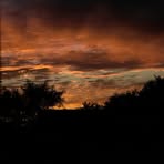 Profile Picture of Josh Willow (@Josh-Willow) on Facebook