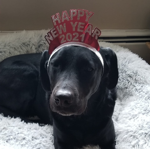 Tara Disalvo - Poshmark Profile Picture of Tara Disalvo (@tarad719) on Poshmark