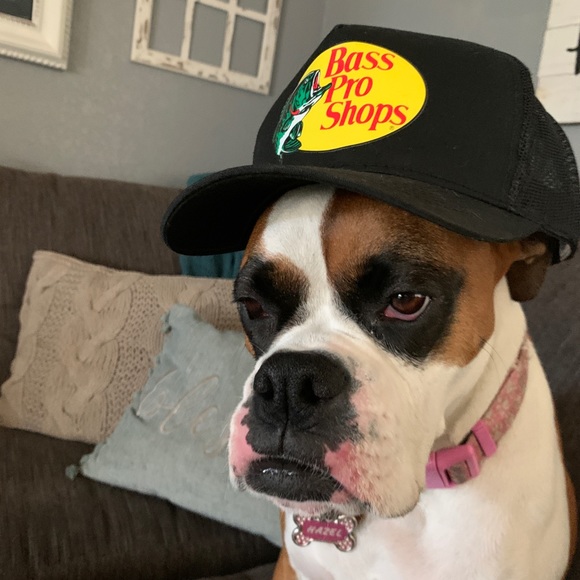 Profile Picture of Noah Luginbill (@noahlug16) on Poshmark