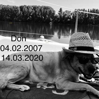 Profile Picture of Peter Knobloch (@peter.knobloch.9) on Facebook