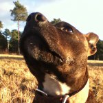 Profile Picture of Baxter Hill (@baxterhill10) on Instagram