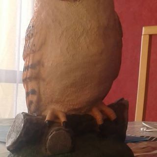 Profile Picture of Jean Sierakowski (@jean.sierakowski.3) on Facebook