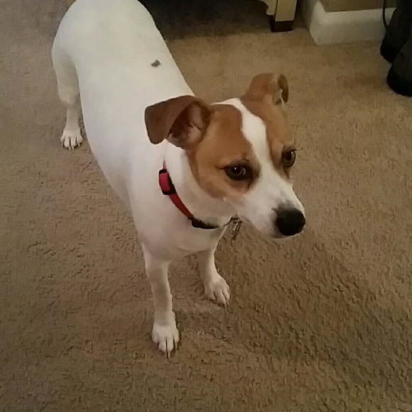 Profile Picture of Simone Fuentes-cook (@syfuentes) on Poshmark