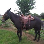 Profile Picture of Cody Rosenberger (@cody_0415) on Instagram