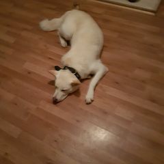 robertwortley2 - Tiktok Profile Picture of robertwortley2 (@robertwortley2) on Tiktok