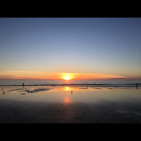 Alexander Cam - Poshmark Profile Picture of Alexander Cam (@alexandercamk) on Poshmark