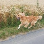Profile Picture of AaronKlocke (@aaronklocke2005) on Instagram