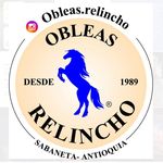 Profile Picture of Mario Giraldo Relincho (@obleas.relincho) on Instagram