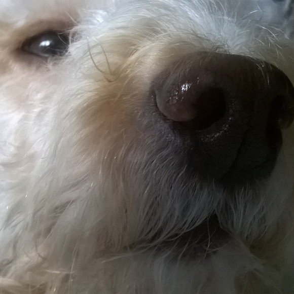 Profile Picture of John roger Desimone (@rogerdesimone) on Poshmark