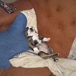 Corey Erickson - Instagram Profile Picture of Corey Erickson (@coreyss396) on Instagram