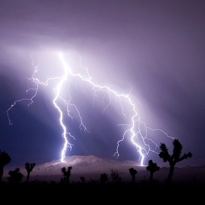 Profile Picture of Al Watcher (@abqwatchdog1) on Twitter