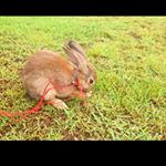 Profile Picture of Brown (@brown_jered) on Instagram