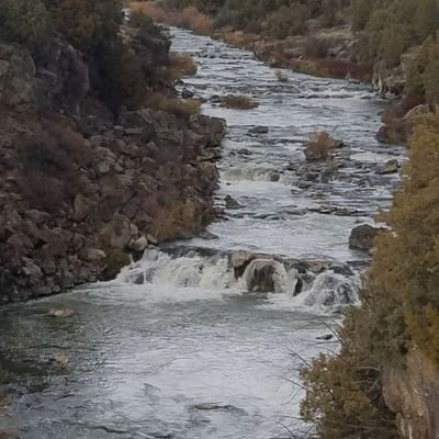 Profile Picture of Aaron Pithford (@AaronPitchford1) on Twitter