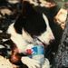 Profile Picture of Dwayne Moser (@ltlbugs01) on Pinterest