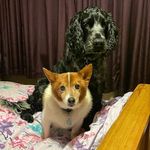 Profile Picture of Paula Loughlin (@loughlin51) on Instagram