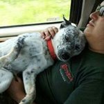 Eric Randell Painter - Instagram Profile Picture of Eric Randell Painter (@ericrpainter) on Instagram