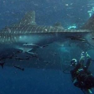 Stefan Kirchmann - Facebook Profile Picture of Stefan Kirchmann (@stefan.kirchmann) on Facebook