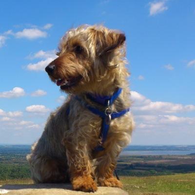 Profile Picture of Katie Freer (@freer_katie) on Twitter