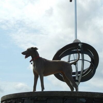 Profile Picture of Dave Filson (@davefilson6) on Twitter