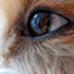 Profile Picture of R. Schattauer (@r. schattauer) on Flickr