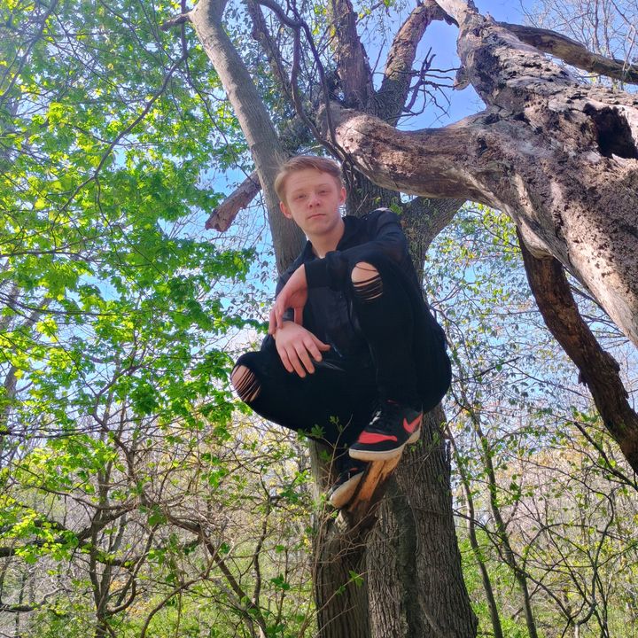 Profile Picture of David (@davidpeglow8) on Tiktok