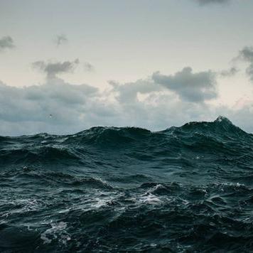 Profile Picture of Alexandru Mircea (@Mircione2k15) on Twitter