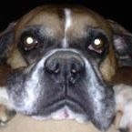 Profile Picture of Heather Roach (@jacksonroach) on Pinterest