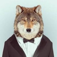 Profile Picture of Mitchell Wolfe (@mitchell-wolfe-2) on Quora