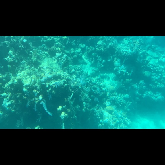 Profile Picture of Carlo Sanchez (@callback44) on Poshmark