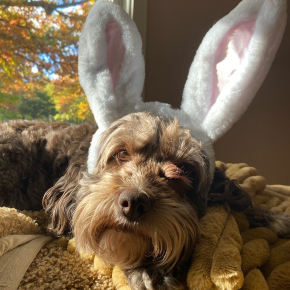 Profile Picture of Ruby Rutherford (@rubyrutherford) on Poshmark