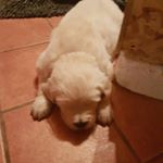 Profile Picture of Eric Eliasson (@eric.eliasson) on Instagram