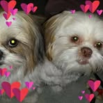 Profile Picture of Judy Van Fossen (@judy.vanfossen.33) on Facebook