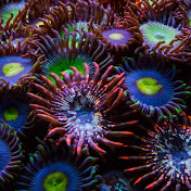 Profile Picture of John Kirkby (@johnkirkby8027) on Youtube