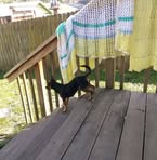 Derrick Walters - Facebook Profile Picture of Derrick Walters (@Derrick-Walters) on Facebook