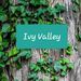 Profile Picture of Ivy Valley (@Sarahexley90) on Pinterest