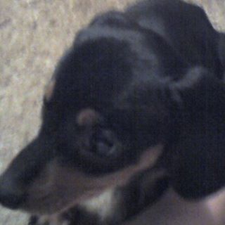 Lise Keith - Facebook Profile Picture of Lise Keith (@lise.keith) on Facebook