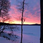 Profile Picture of Andrew Edmunds (@tripnip_734) on Instagram