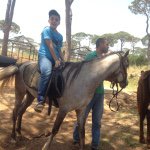 Profile Picture of georges saide (@georgessaide) on Instagram