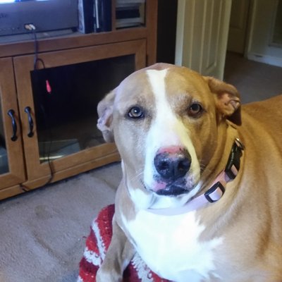 Mark Steven Riner - Twitter Profile Picture of Mark Steven Riner (@MarkStevenRine1) on Twitter